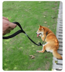 Close-up of black adjustable P-chain dog leash held by hand in outdoor grass setting