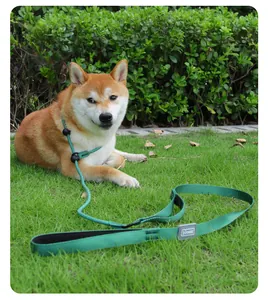 Detail view of a green integrated adjustable P-chain dog leash worn by a Shiba Inu outdoors