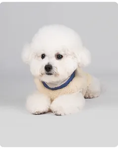 Veste d'hiver chaude en polaire crème pour petits chiens avec détail de col bleu