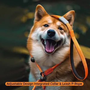 Adjustable orange slip lead dog leash for professional training of medium to large dogs