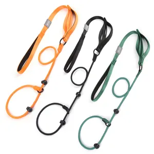Professional adjustable nylon slip lead dog leash anti-pull P-chain for large dogs
