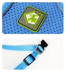 Close-up of breathable blue mesh pet harness with durable buckle and metal D-ring