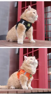 Close-up of a reflective breathable mesh pet harness worn by a cat outdoors