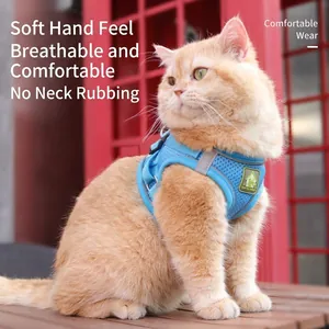 Blue breathable reflective mesh pet harness shown worn by an orange cat outdoors