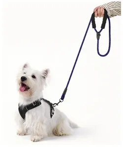 Detalle de correa de perro de nailon reflectante azul duradera y arnés negro para perros blancos