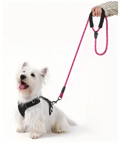 Correa reflectante rosa y arnés negro para perros mostrada en un pequeño terrier blanco.
