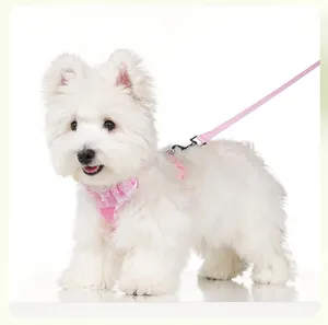 Close-up detail of the cute pink lace pet harness and adjustable leash on a small white dog