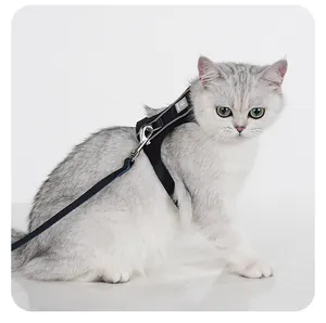 Macro view of a reflective black cat harness and leash on a silver cat for safety.