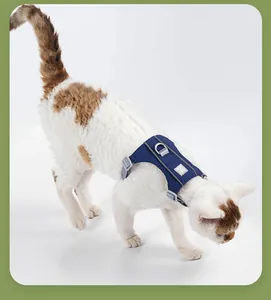 Close-up detail of a breathable blue cat harness with reflective strips for safety