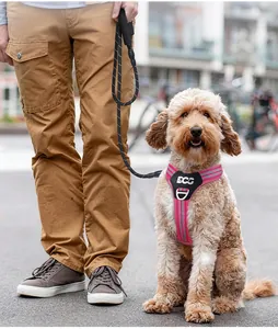 Detailed view of a pink reflective dog harness and matching leash used outdoors