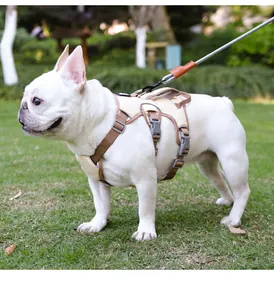 Detailed view of adjustable beige anti-escape dog harness on a white French Bulldog