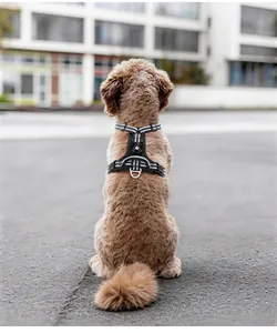 Outdoor back view of a dog wearing a reflective black no-pull harness with a paw logo