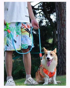 Close-up of a blue and orange dog leash with a green foam handle on a Corgi