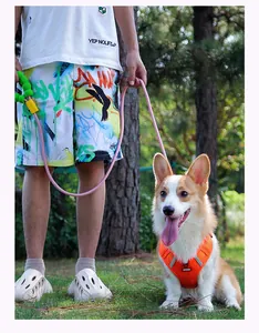Colorful pink braided dog leash with a soft and comfortable green bubble handle