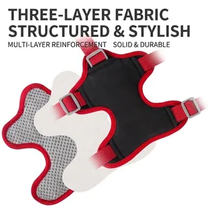 Three-layer padded dog harness with breathable mesh for small to medium dogs