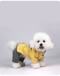 Vue latérale d'un chien blanc portant un manteau d'hiver jaune avec pantalon rayé