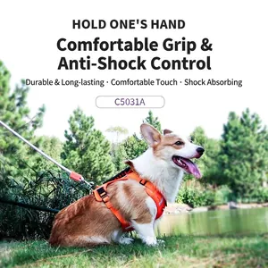 Comfortable orange dog harness and leash set with padded handle for outdoor walking