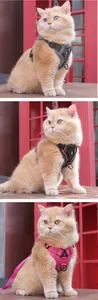 Detailopname van het ademende kattenharnas met bijbehorende riem in drie verschillende kleuren
