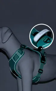 Dettaglio dell'imbracatura catarifrangente verde scuro per cani con strisce di sicurezza visibili