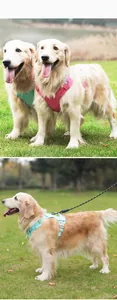 Gedetailleerd zicht op grote honden die ademende lichtgewicht harnassen buiten dragen