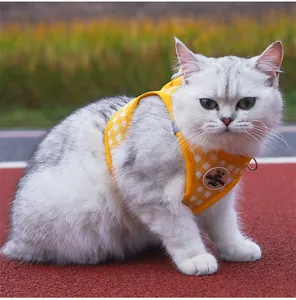 Detailed view of yellow checkered breathable mesh cat harness on an outdoor running track