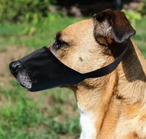 Vue latérale d'un grand chien portant une muselière noire réglable en maille