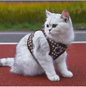 Detail of a white cat wearing a brown checkered harness on a red outdoor track