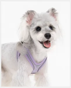 Close-up detail of the breathable purple reflective dog harness on a small puppy
