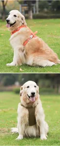 Lichtgewicht waterdicht hondenharnasvest voor grote honden op een Golden Retriever