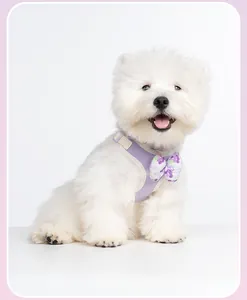 Detail van een schattig paars hondenharnas met bloemenstrik op een witte hond