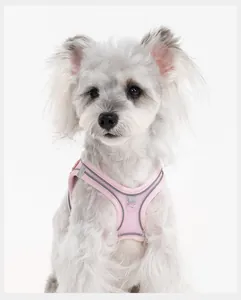 Close-up of pink breathable mesh pet harness with reflective strips on a small dog