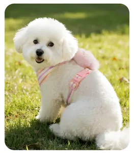 Detail van roze gestreept hondentuigje met knuffel op een witte Bichon Frise puppy hond