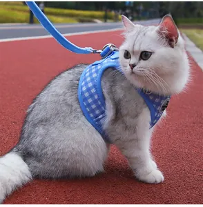 Detailed view of adjustable blue plaid escape-proof cat harness and leash set on cat