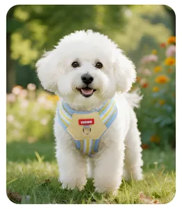Detail van schattig blauw en geel gestreept hondentuigje met DUOMM-logo op hond
