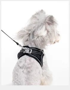 Detailed view of breathable black reflective dog harness worn by small white pet on white background