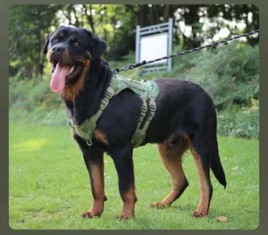 Strapazierfähiges taktisches Hundegeschirr für große Hunde in Armeegrün im Freien am Rottweiler