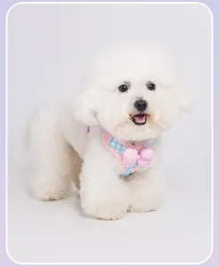 Detailed view of blue plaid dog harness with pink bow on white Bichon Frise