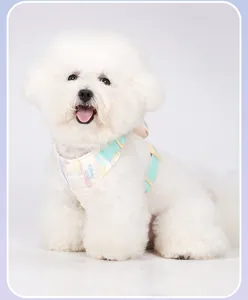 Close-up of a white Bichon wearing a mint green bubble gauze pet harness backpack