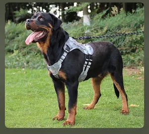 Strapazierfähiges taktisches graues Hundegeschirr für große Hunde im Freien auf Gras.