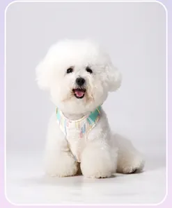 Detailed view of a white Bichon Frise dog wearing a breathable seersucker harness