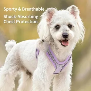 Breathable mesh dog harness with reflective strips and lavender vest design for small pets