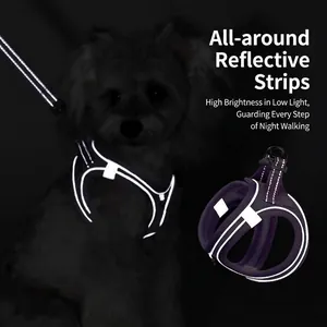 Reflective purple dog harness with breathable mesh for night safety and comfort.