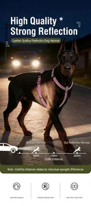 Reflective anti-pull dog harness featuring high-visibility night straps and double D-rings