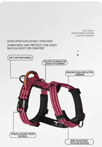 Detail showing reflective red dog harness with leather handle and dual D-rings features