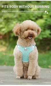 Nahaufnahme eines atmungsaktiven minzgrünen Hundegeschirrs an einem kleinen Pudel
