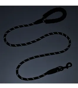 Detailed view of heavy-duty reflective nylon dog leash with high visibility for night walks