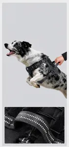 Nahaufnahme des gepolsterten Griffs an einem schwarzen taktischen Hundegeschirr für Hunde