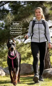 Outdoor dog harness and leash set with reflective stripes for large dogs outdoors