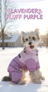 Dettaglio di un cane con cappotto invernale viola impermeabile sulla neve fresca.