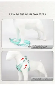 Schritt-für-Schritt-Anleitung zum Anlegen des atmungsaktiven Hundegeschirr-Vests